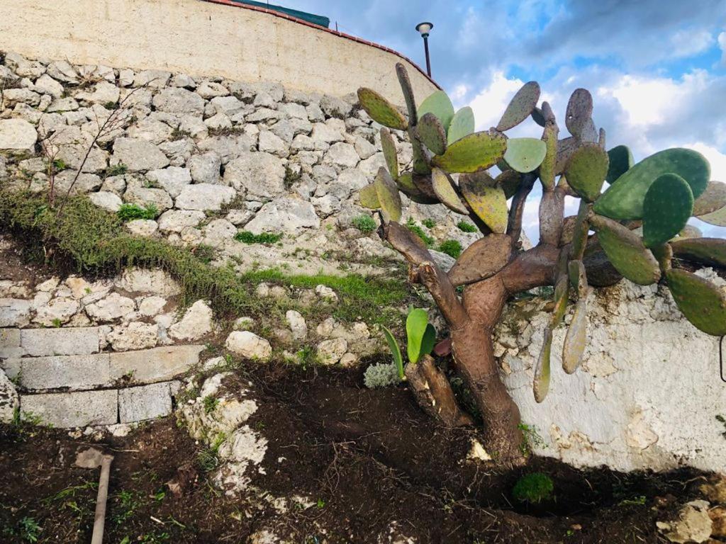 B&B Tenuta La Puntara Caltanissetta Esterno foto