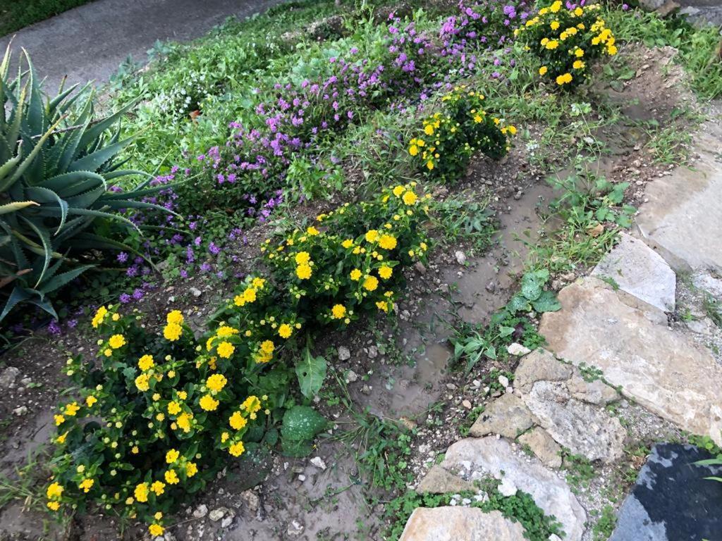 B&B Tenuta La Puntara Caltanissetta Esterno foto