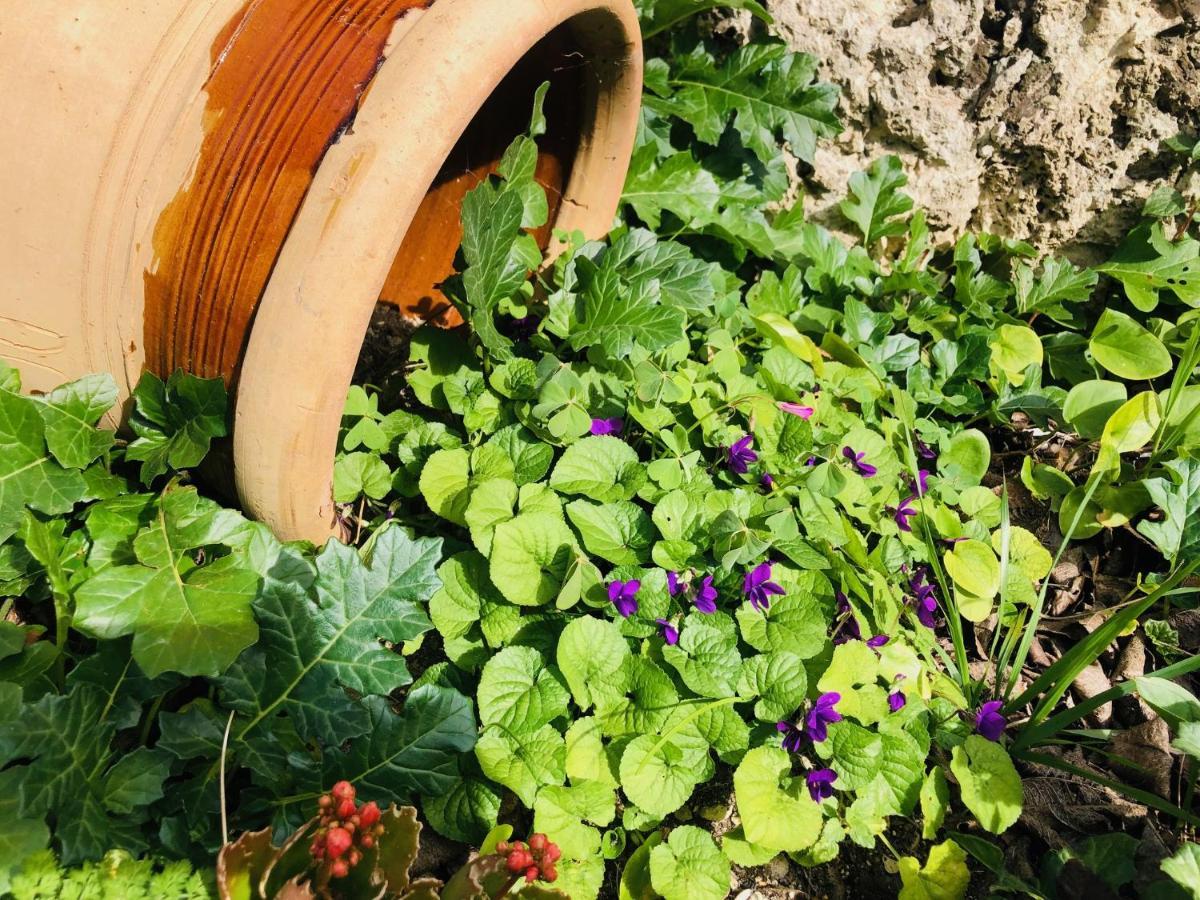 B&B Tenuta La Puntara Caltanissetta Esterno foto