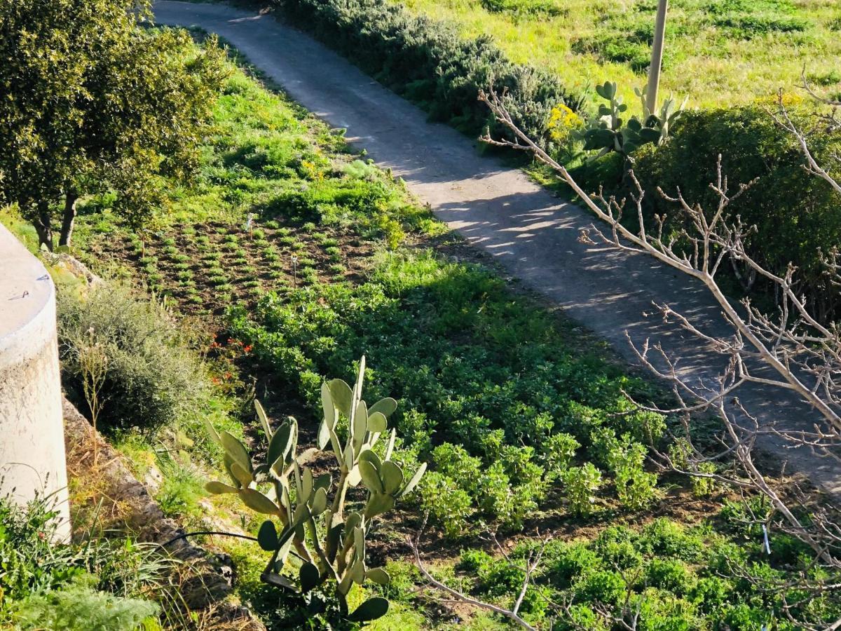 B&B Tenuta La Puntara Caltanissetta Esterno foto