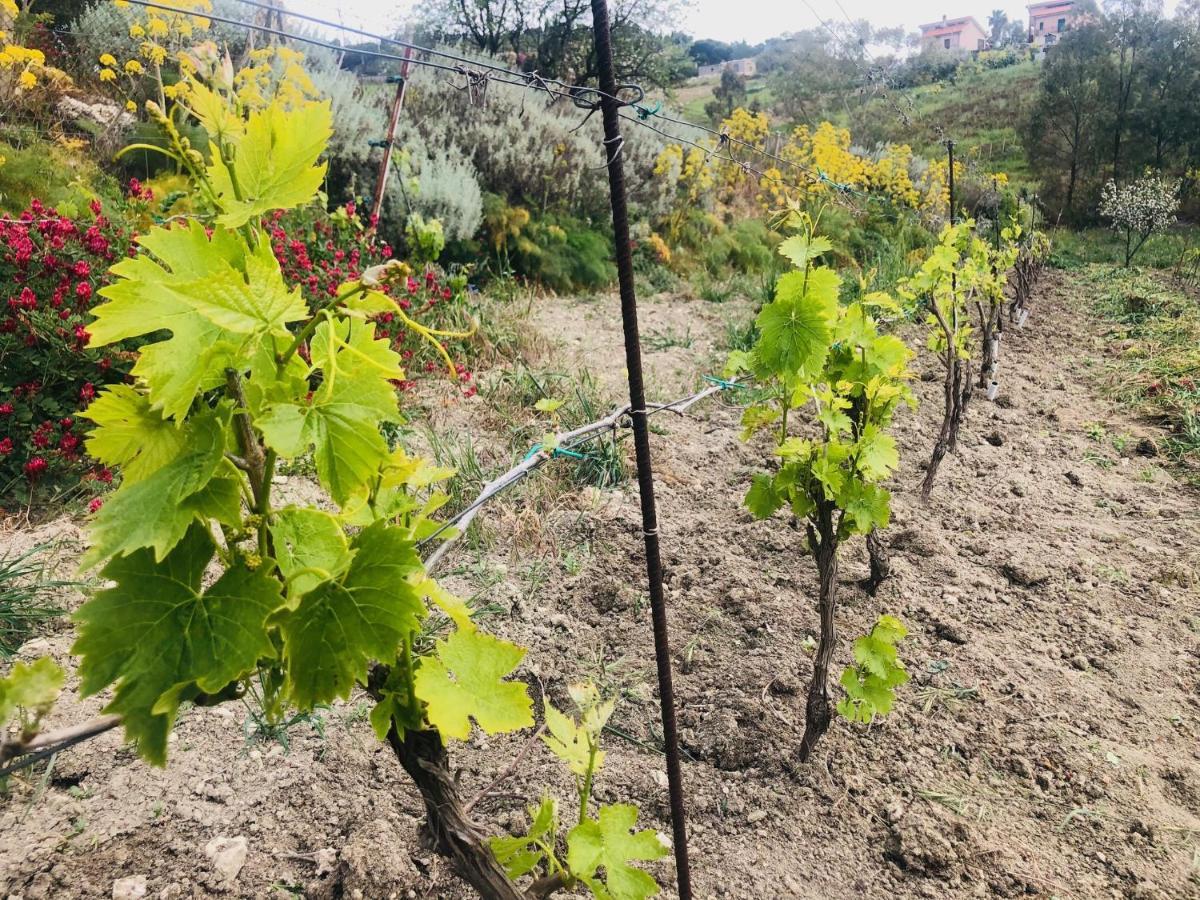 B&B Tenuta La Puntara Caltanissetta Esterno foto