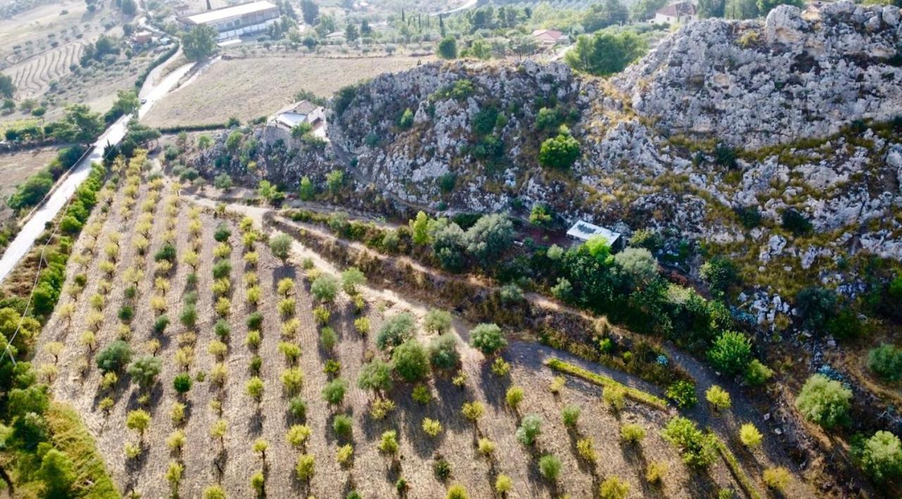 B&B Tenuta La Puntara Caltanissetta Esterno foto