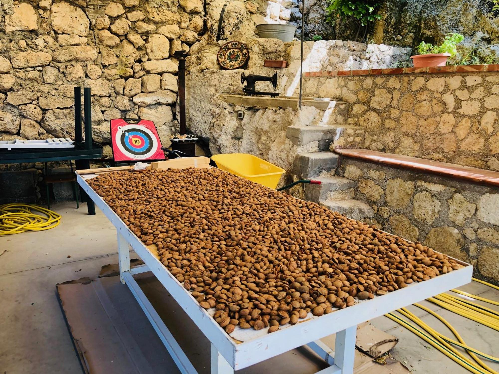 B&B Tenuta La Puntara Caltanissetta Esterno foto